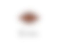 Prospera Plus Light - Hondenvoer - 15 Kg 6 Prospera Plus Light - Hondenvoer - 15 Kg -Dierbenodigdheden Verkoop light