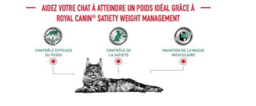 Royal Canin Satiety Weight Management Feline | Pack Double | 2 x 400g |  Aliment Complet diététique pour Chats | pour Les Chats à Faible Valeur