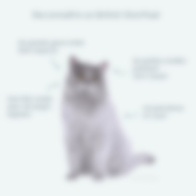 Frdntm4nbulqpm Frdntm4nbulqpm