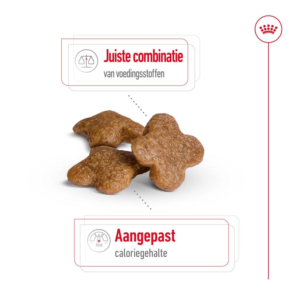 Royal Canin Mini Adult 8+ Hondenvoer Royal Canin Size Nutrition