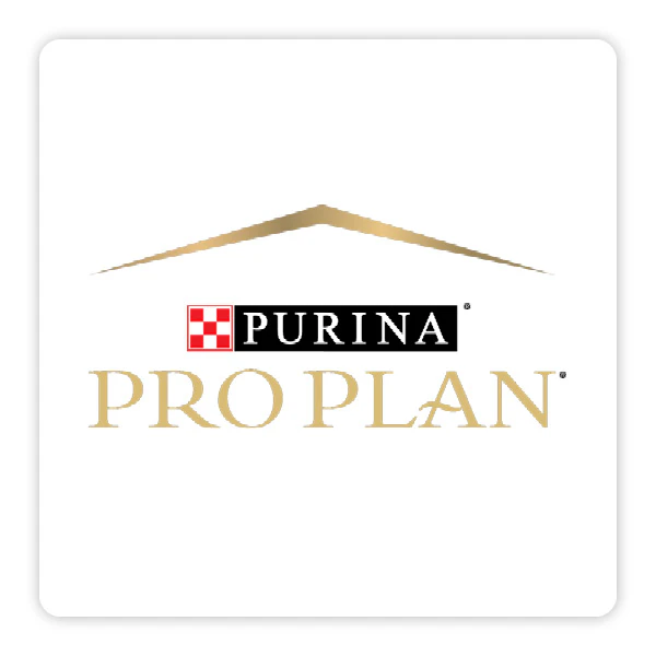 Pro Plan