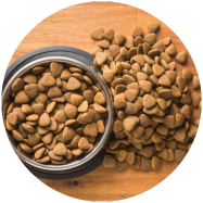 Hondenbrokken in en naast het kommetje 