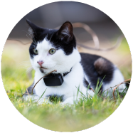 Eviter les sorties nocturnes en hiver