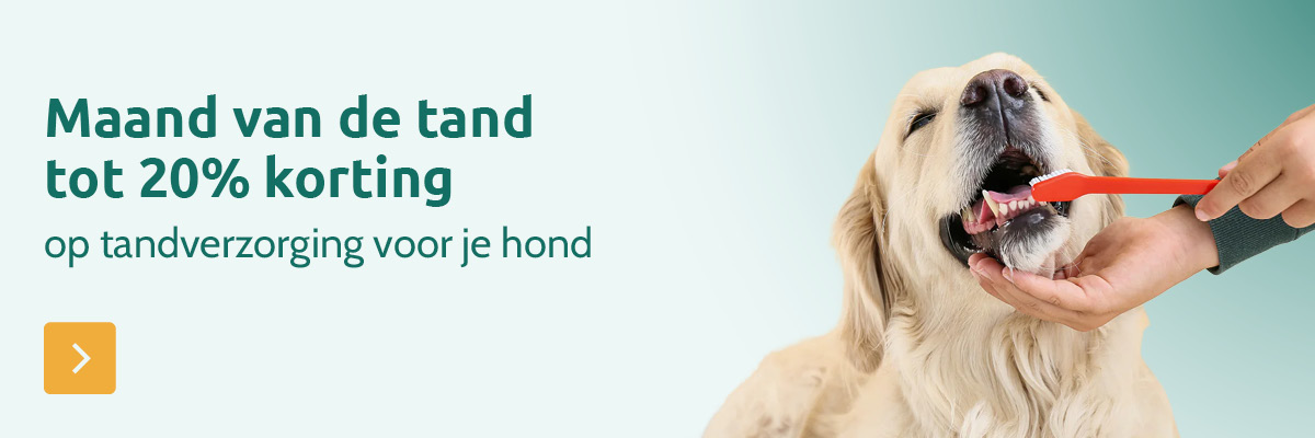 Tot -20% op tandverzorging