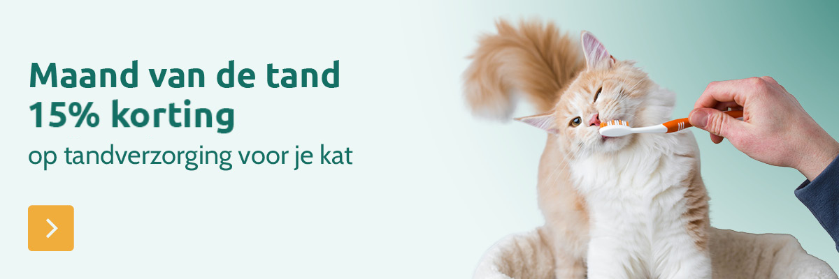 15% korting op tandverzorging voor katten