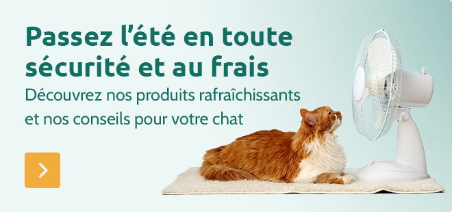 Le d&eacute;but de l'&eacute;t&eacute;