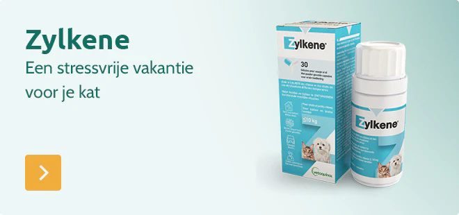 Zylkene - een stressvrije vakantie voor je kat
