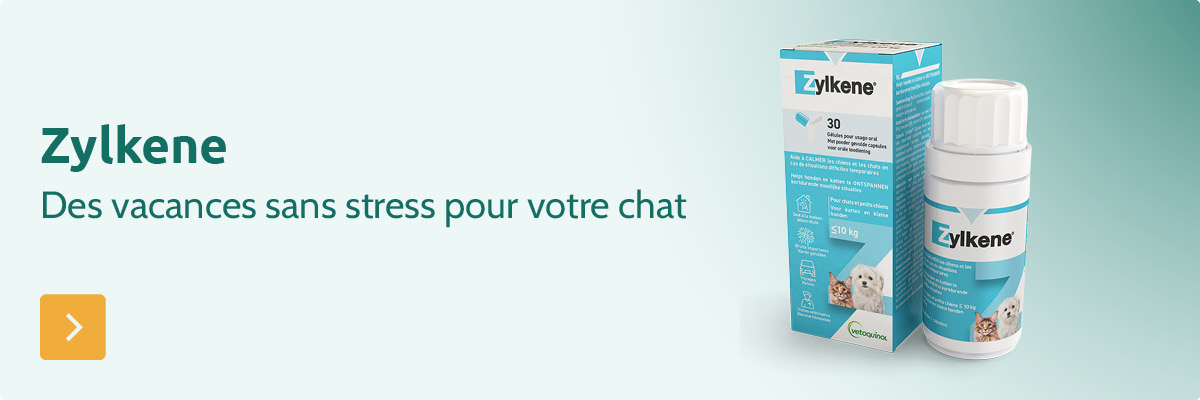Zylkene - des vacances sans stress pour votre chat