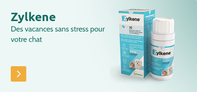 Zylkene - des vacances sans stress pour votre chat