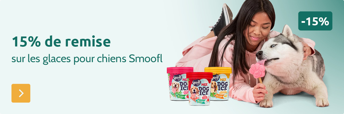 -15% sur des glaces pour chiens Smoofl