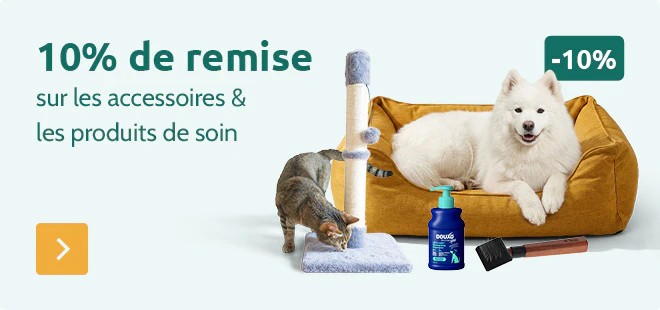 -10% sur accessoires & soins