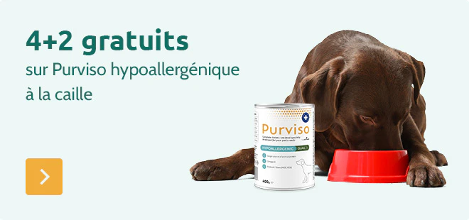 4+2 sur Purviso hypoallergénique à la caille