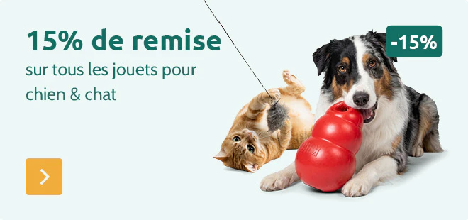 -15% sur tous les jouets