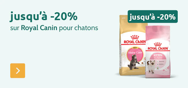 Jusqu'à -20% sur Royal Canin pour chatons