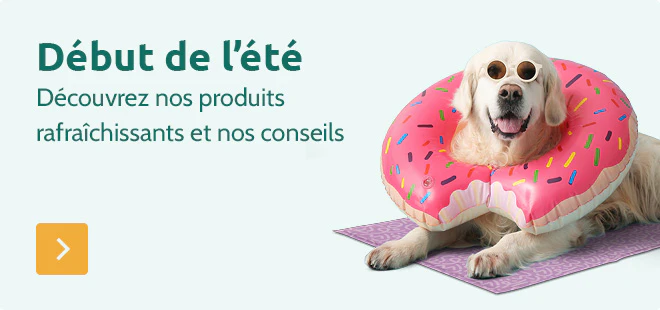Début de lété
