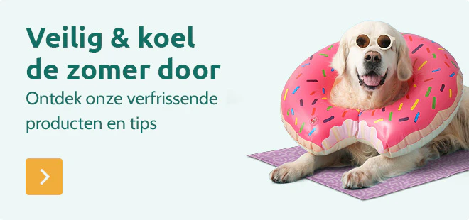 Begin van de zomer