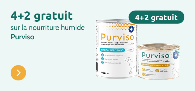 4+2 offerts sur la nourriture humide Purviso