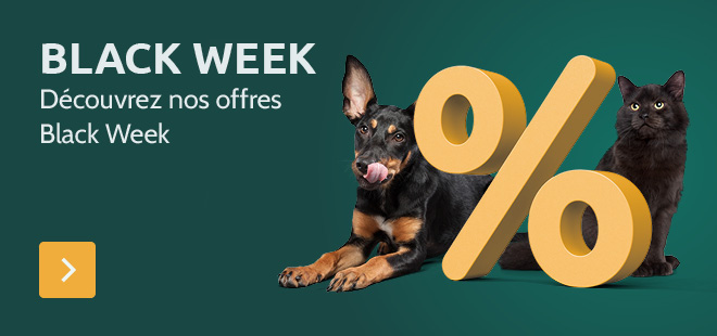 Black Week - Découvrez nos offres