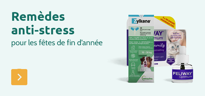 Remèdes anti-stress pour les fêtes