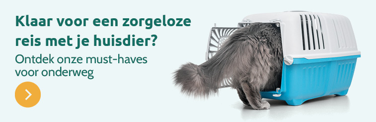Zorgeloos op reis met je kat
