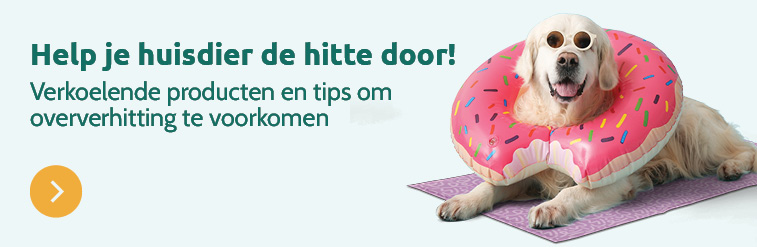 Start van de zomer voor je hond