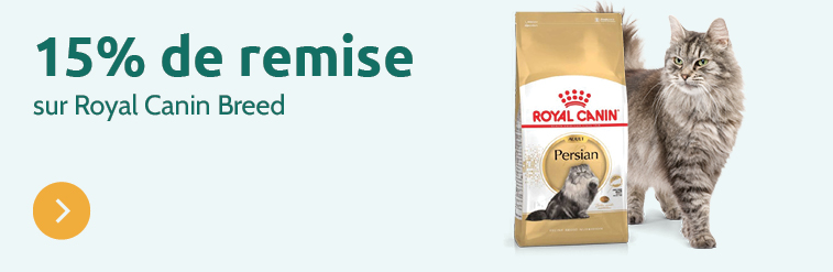 -15% royal canin breed pour chat