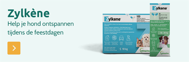 Zylk&egrave;ne voor je hond