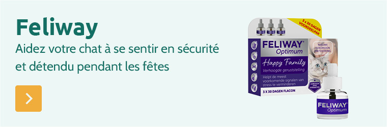 Feliway pour chats