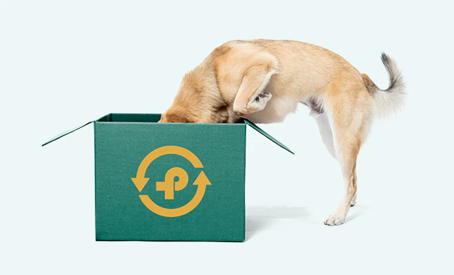 Kies een abonnement bij PharmaPets
