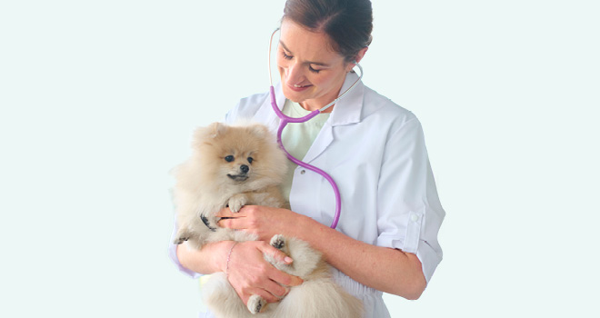 Dierenarts Valerie staat altijd klaar met advies 