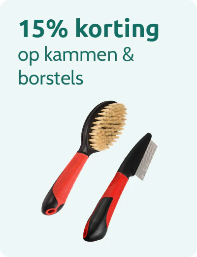 15% korting op kammen & borstels