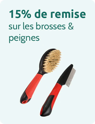 15% de remise sur les brosses et les peignes