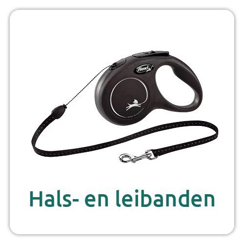 Hals-en leibanden