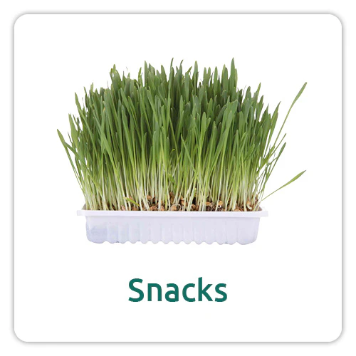 Snacks