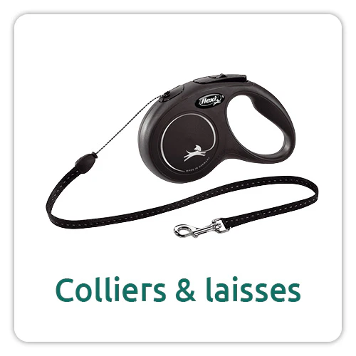 Colliers et laisses