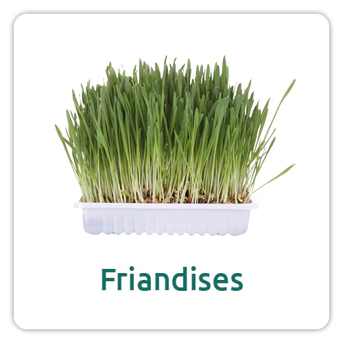 Friandises