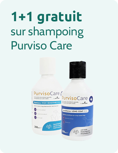 Purviso care