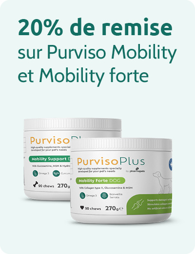 Purviso Plus mobility