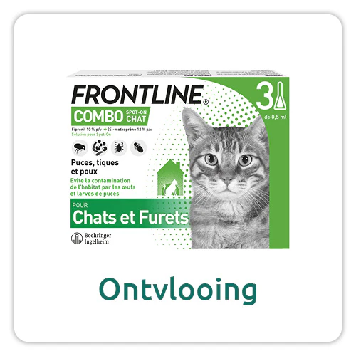 Oorverzorging voor de kat