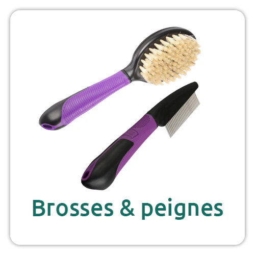 Brosses et peignes