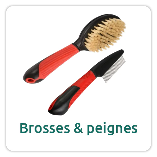 Brosses et peignes