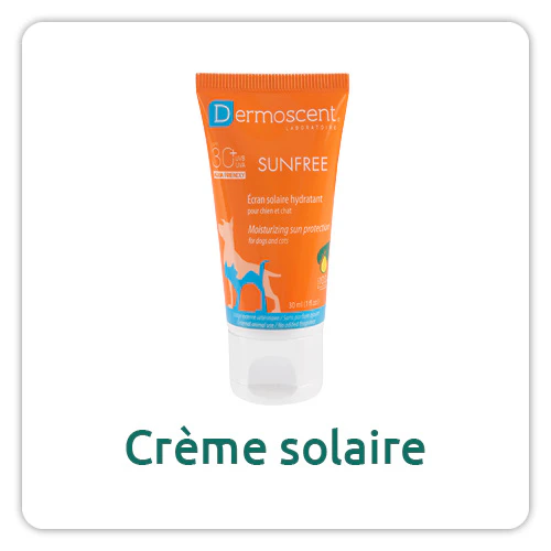 Crème solaire