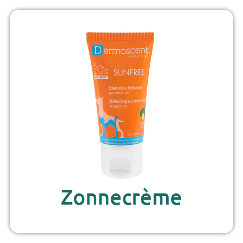 Zonnecrème