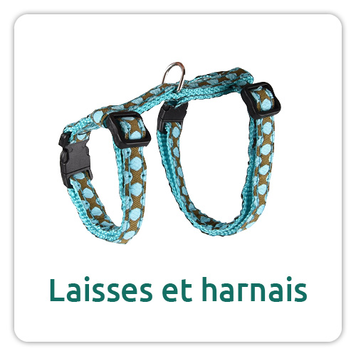 Laisses et harnais