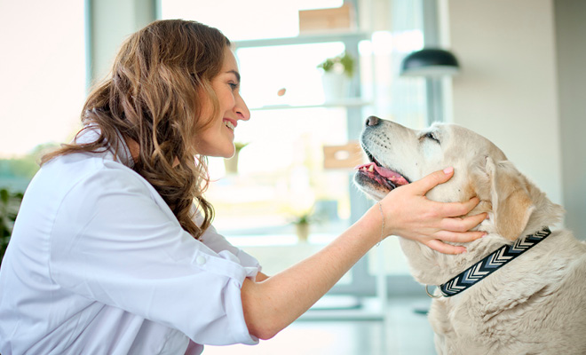 Advies tandverzorging bij honden