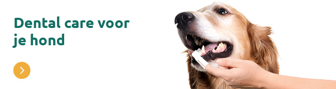 Tandverzorging hond