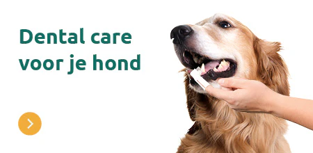 Tandverzorging hond