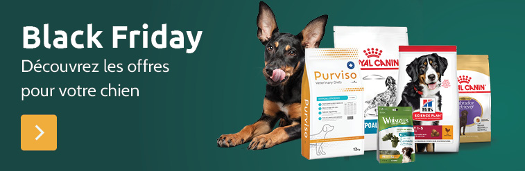 Black friday pour chiens
