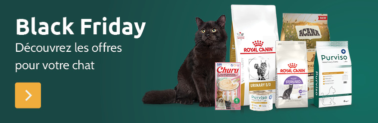 Black friday pour chats