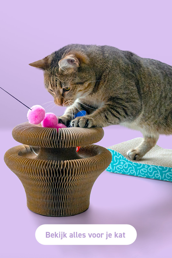 Alles van Yogi voor je kat